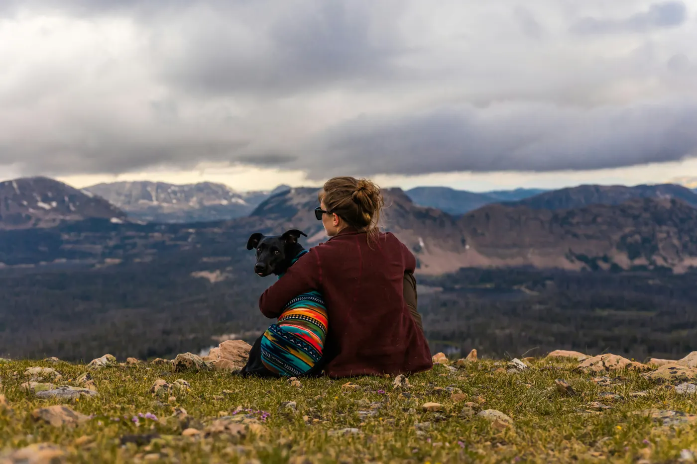 A person enjoying an outdoor moment with their dog