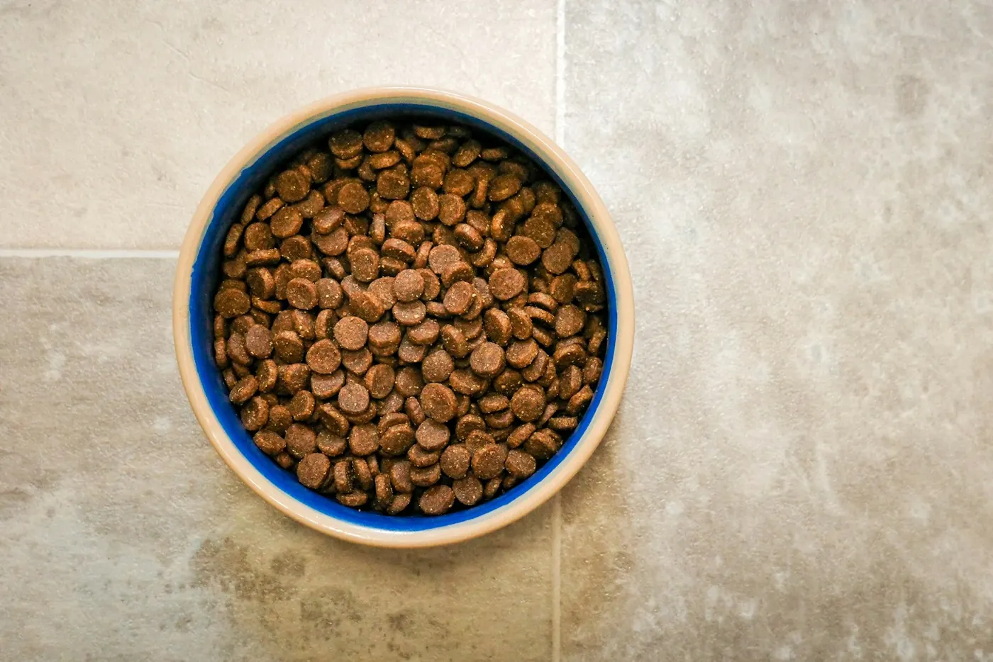 A bowl of dry dog food