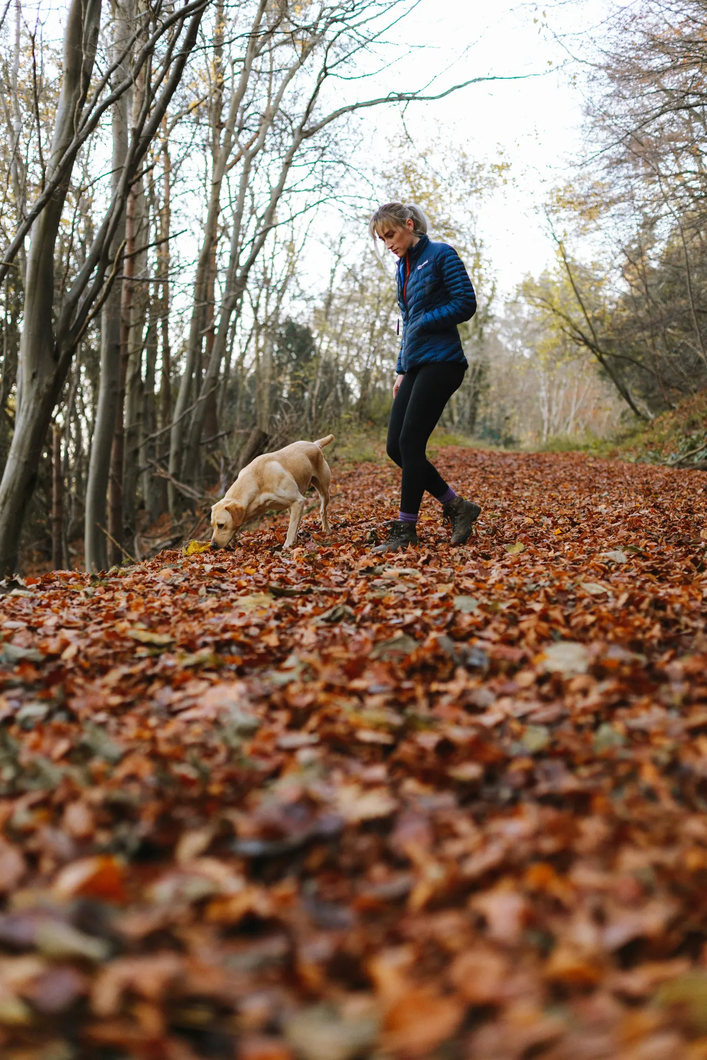 A dog and a person walking together outside